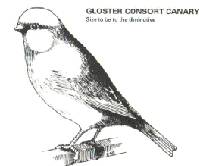 consort2